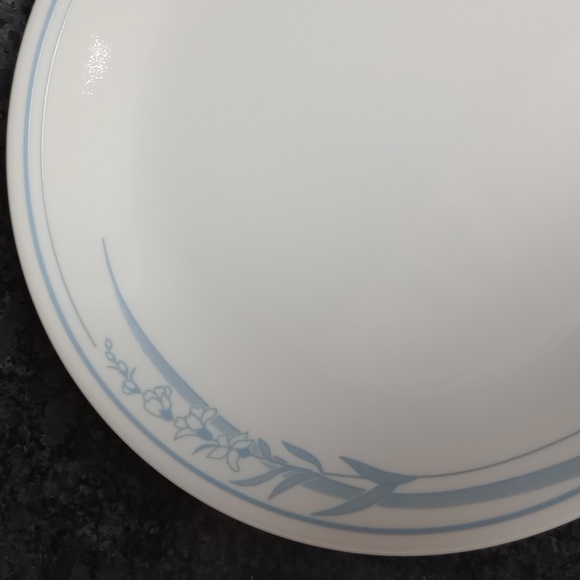 Corelle by Corningware 4 Blue Lily Dinner Plates 10" Sandstone - Picture 3 of 4